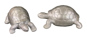 Set de 2 pièces – Tortues