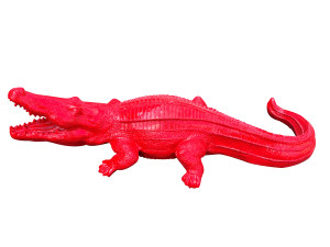 Crocodile – rouge