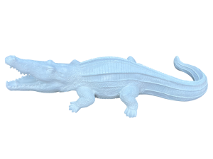 Crocodile – blanc