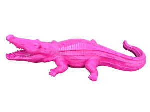 Crocodile – rose