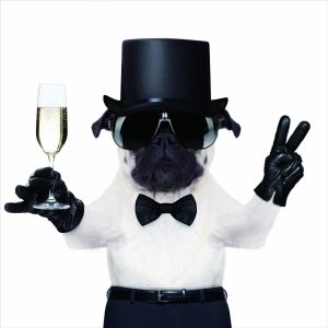 Carlin & champagne